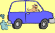 car dog